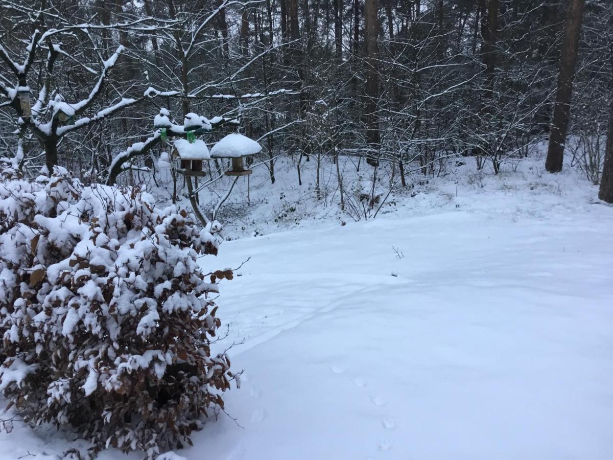 Het Fazantenbosje Villa Далфсен Екстериор снимка